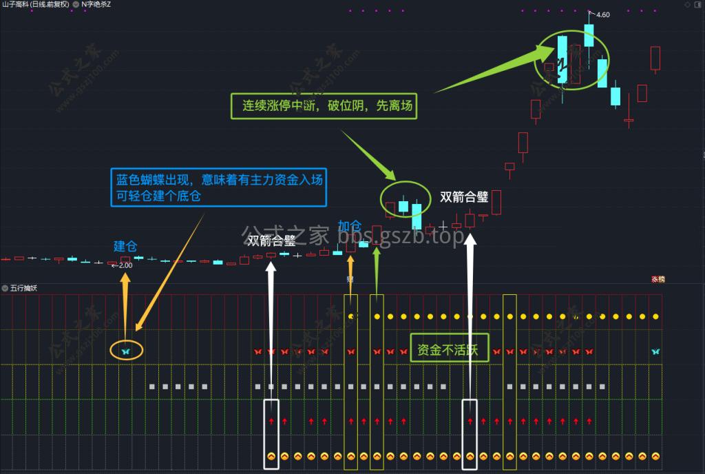 d2b5ca33bd20251005110505-1024x688.png