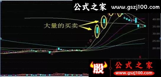 wp6.jpg