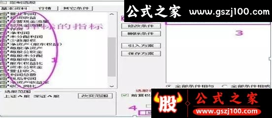 wp12.jpg