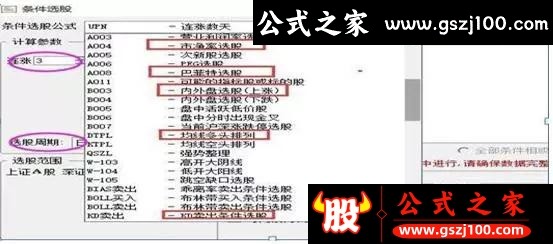 wp13.jpg