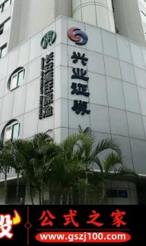 wp8.jpg