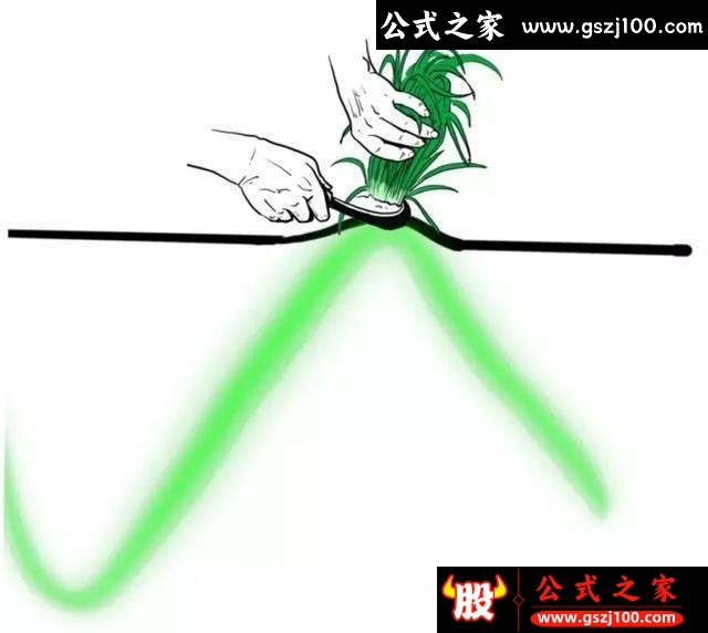 wp5.jpg