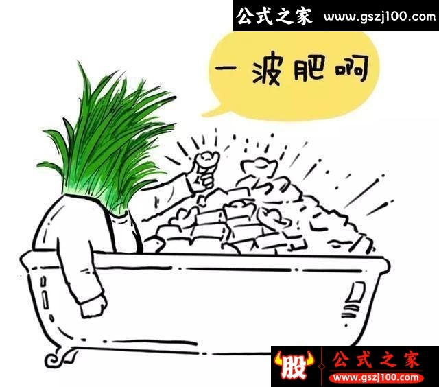 wp6.jpg