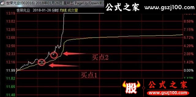 wp2.jpg