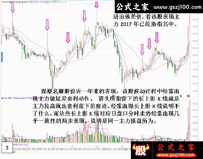 wp3.jpg