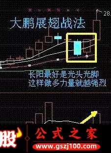wp2.jpg