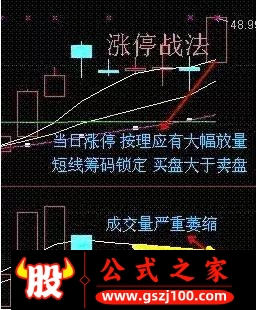 wp4.jpg