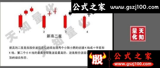 wp10.png