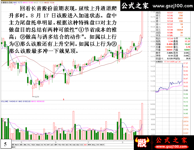 wp5.png