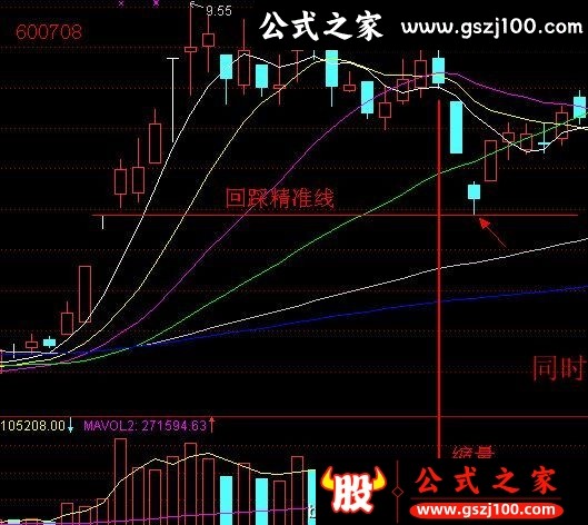 wp5.png