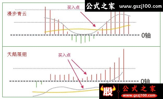 wp2.png