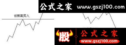 wp4.png