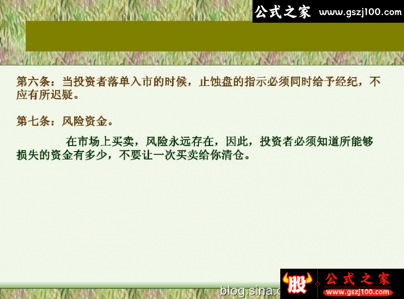 wp5.png