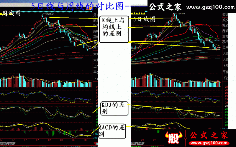 wp3.gif