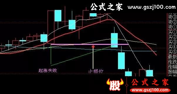 wp14.jpg