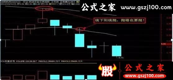 wp11.jpg