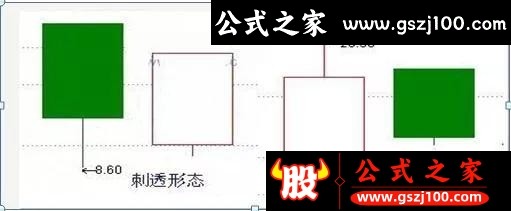 wp6.jpg