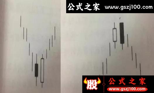 wp5.jpg