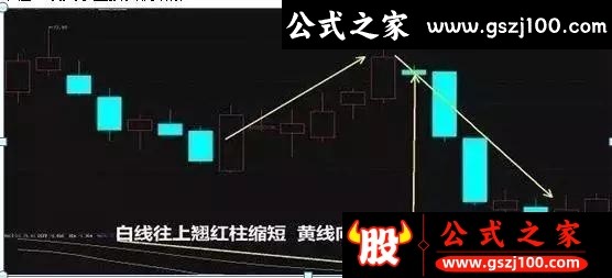 wp10.jpg