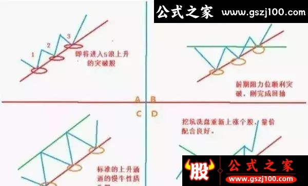 wp5.jpg