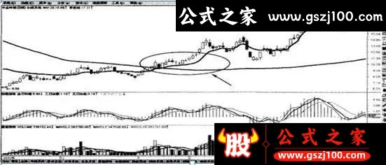 wp6.jpg